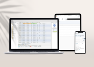 InsightZAP : la révolution du reporting SAP pour les gestionnaires métier