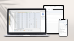 InsightZAP : la révolution du reporting SAP pour les gestionnaires métier