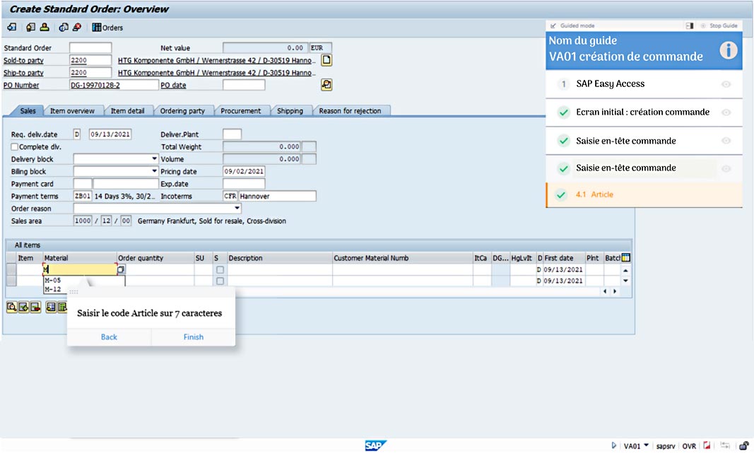 OnScreen pour SAP ECC · aide contextuelle